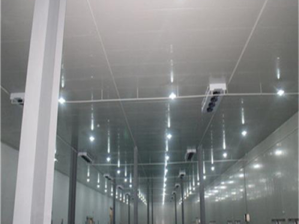 建造安裝食品低溫冷藏庫有哪些因素影響造價(jià)？